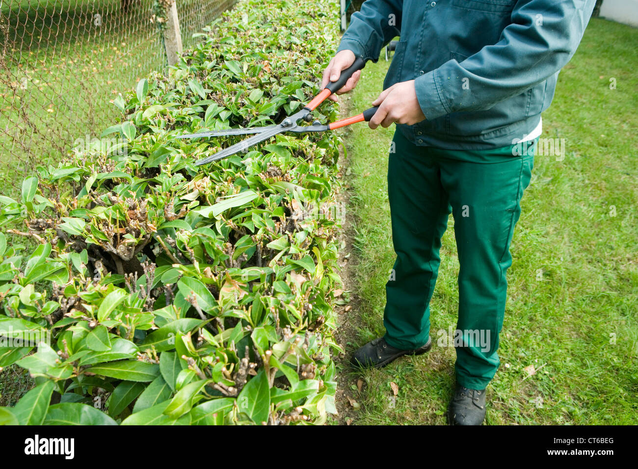 Spazi verdi di manutenzione Foto Stock