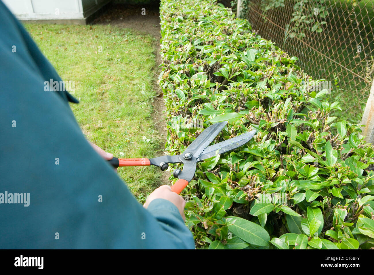 Spazi verdi di manutenzione Foto Stock