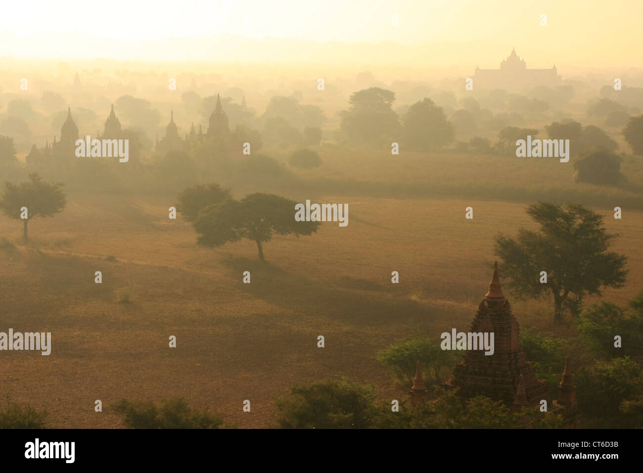 Pianure di Bagan nella nebbia mattutina, Bagan zona archeologica, regione di Mandalay, Myanmar, sud-est asiatico Foto Stock