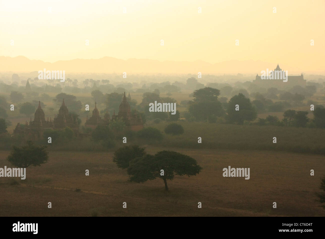 Pianure di Bagan nella nebbia mattutina, Bagan zona archeologica, regione di Mandalay, Myanmar, sud-est asiatico Foto Stock