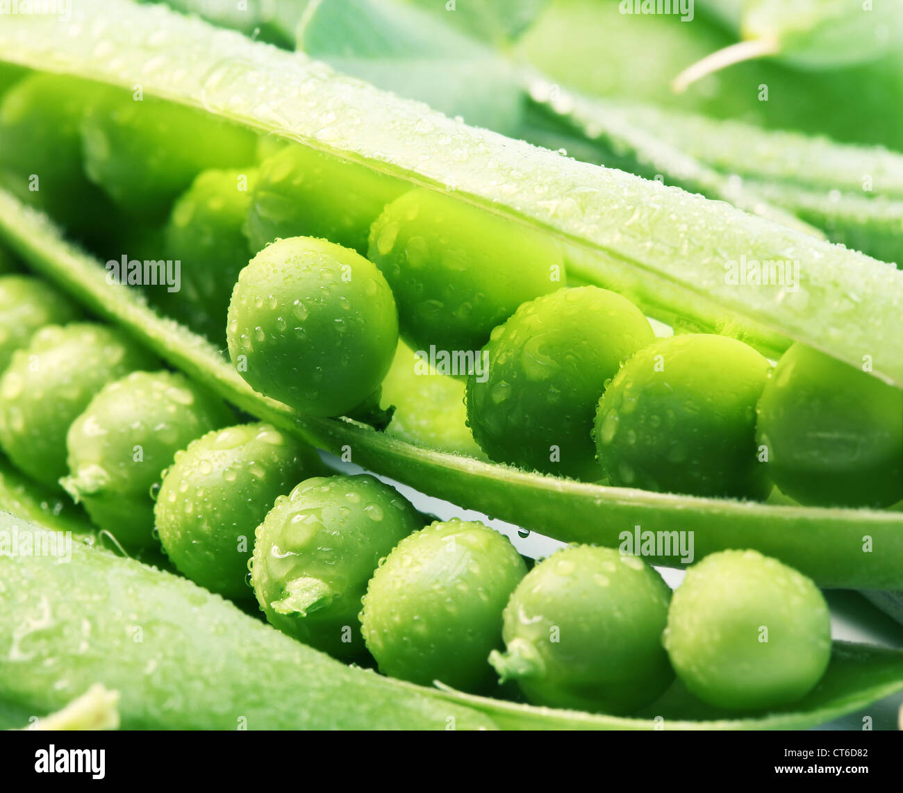 Baccelli di piselli verdi con foglie su sfondo bianco. Foto Stock