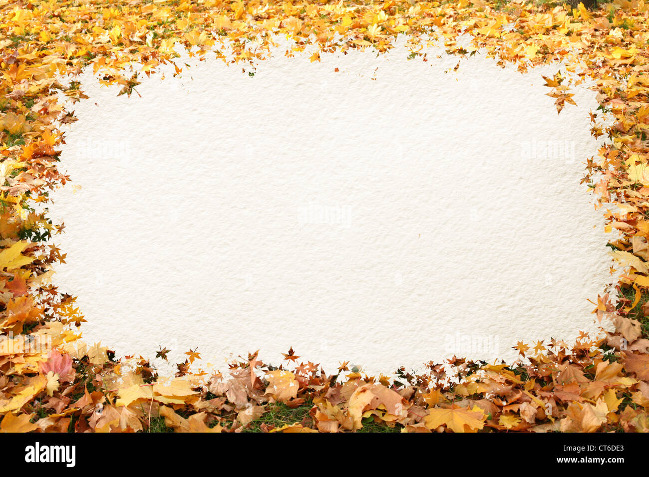 Foglie di autunno telaio per il testo Foto Stock