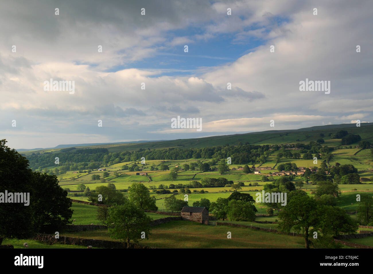 Estate su Bainbridge pascoli; Bainbridge village, Wensleydale; Yorkshire Dales National Park, England, Regno Unito Foto Stock