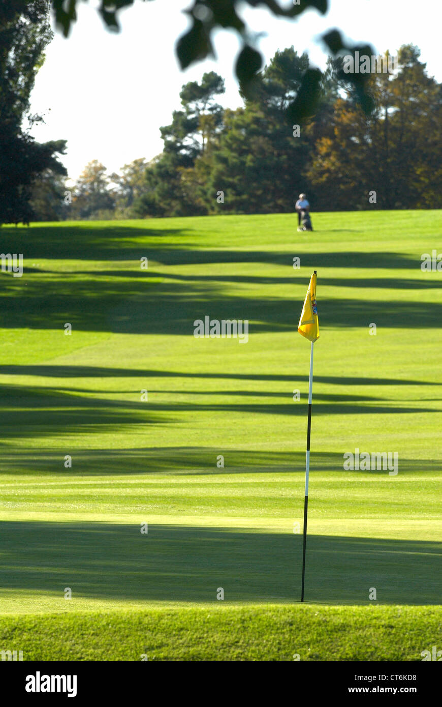 Giocatore di golf sul campo da Golf Foto Stock