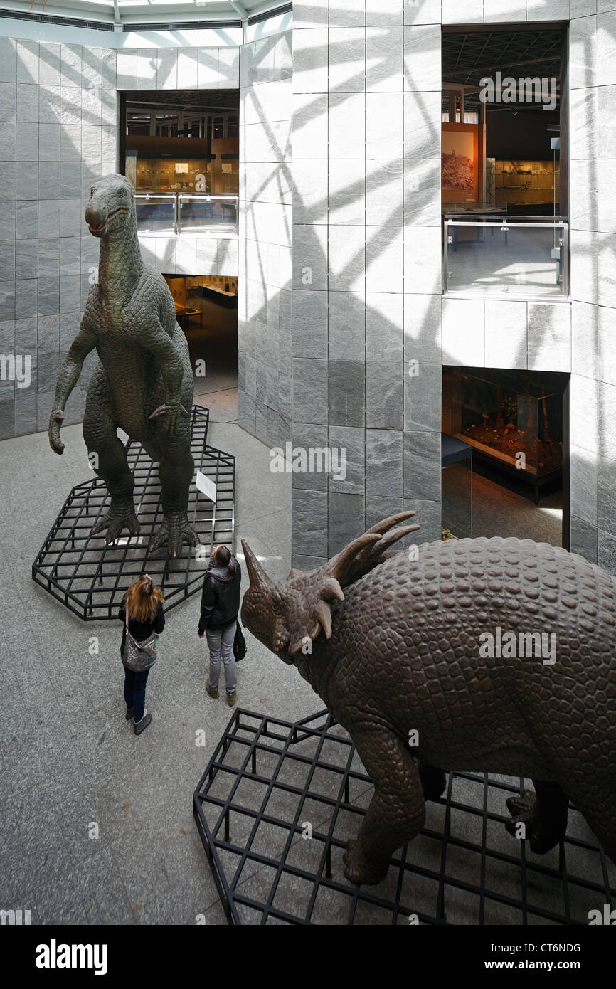 D-Dortmund, la zona della Ruhr, Westfalia, Renania settentrionale-Vestfalia, NRW, museo di storia naturale, la ricostruzione di dinosauri, Iguanodon sauro, styracosaurus Foto Stock