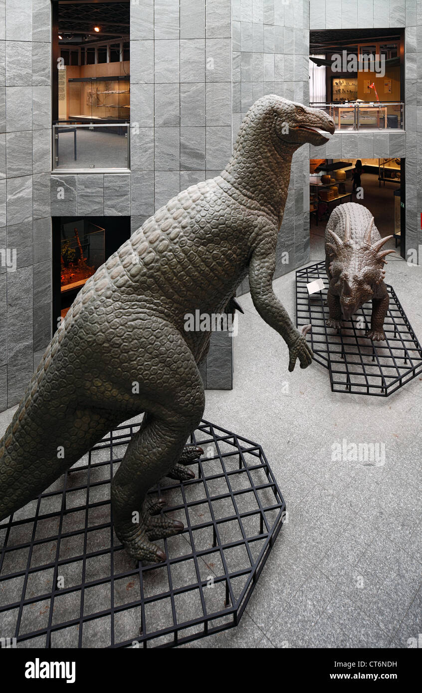 D-Dortmund, la zona della Ruhr, Westfalia, Renania settentrionale-Vestfalia, NRW, museo di storia naturale, la ricostruzione di dinosauri, Iguanodon sauro, styracosaurus Foto Stock