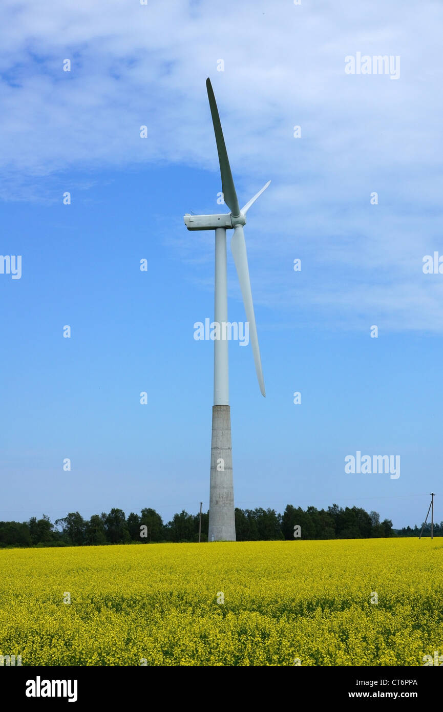 Le turbine eoliche su uno sfondo di cielo blu Foto Stock
