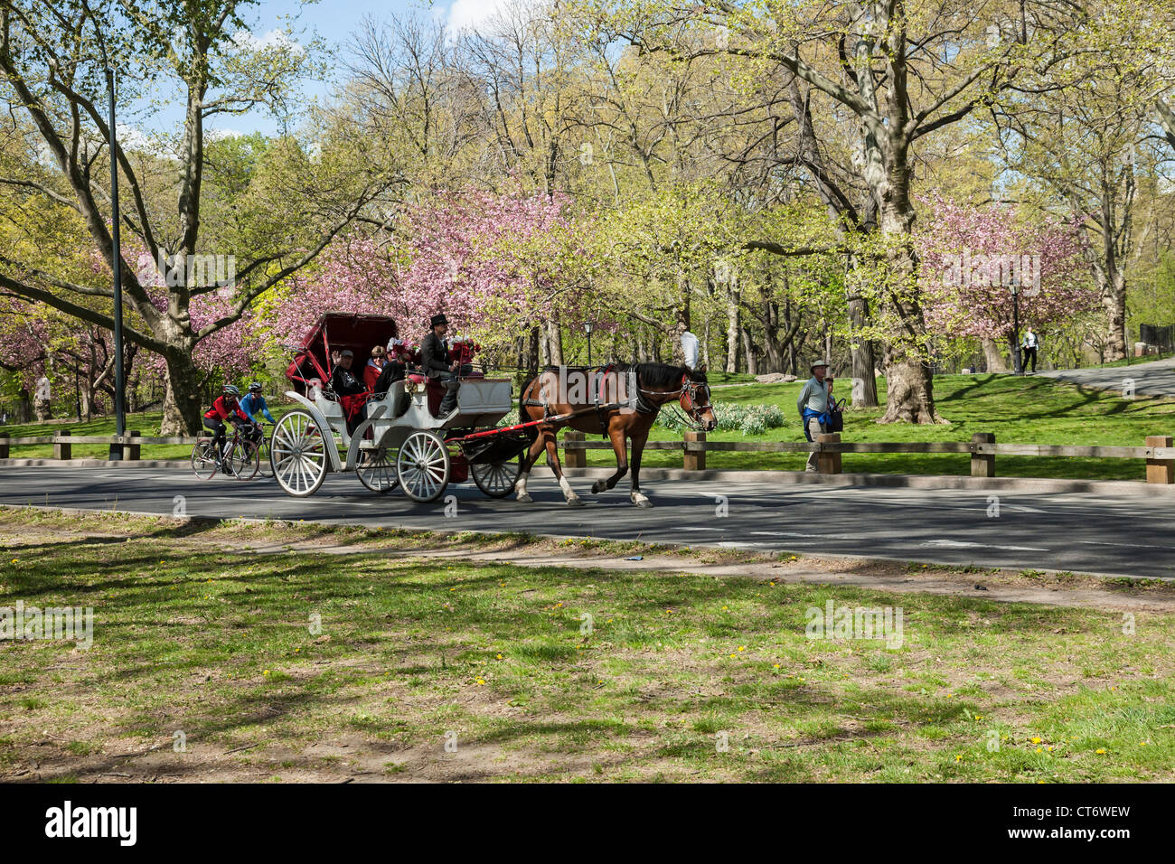 Cavallo e Carrozza nel Central Park di New York Foto Stock
