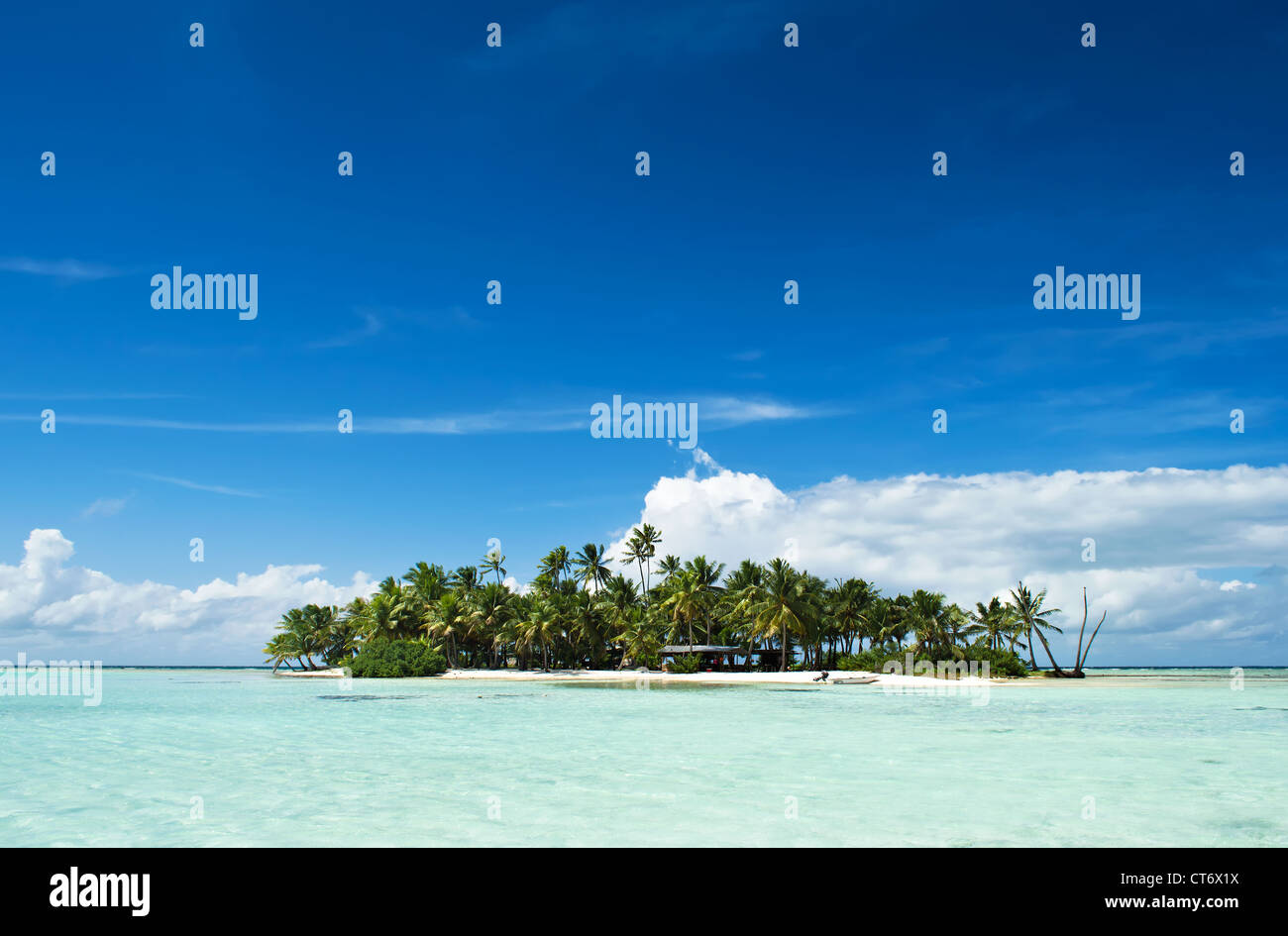 Disabitata o isola deserta in laguna blu all'interno di Rangiroa Atoll, un'isola vicino a Tahiti in Polinesia francese. Foto Stock