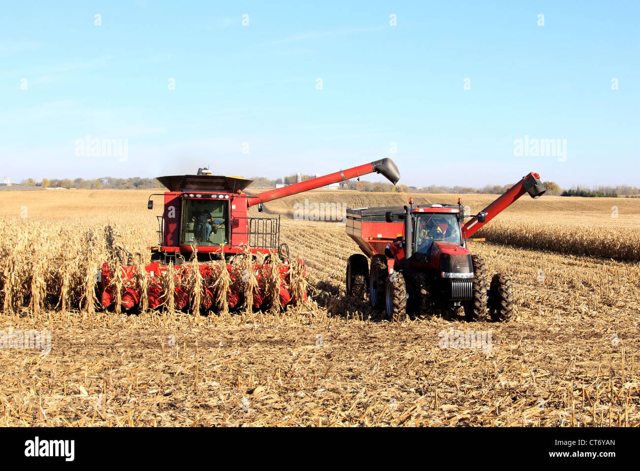 La raccolta del mais il funzionamento in Wisconsin, USA Foto Stock