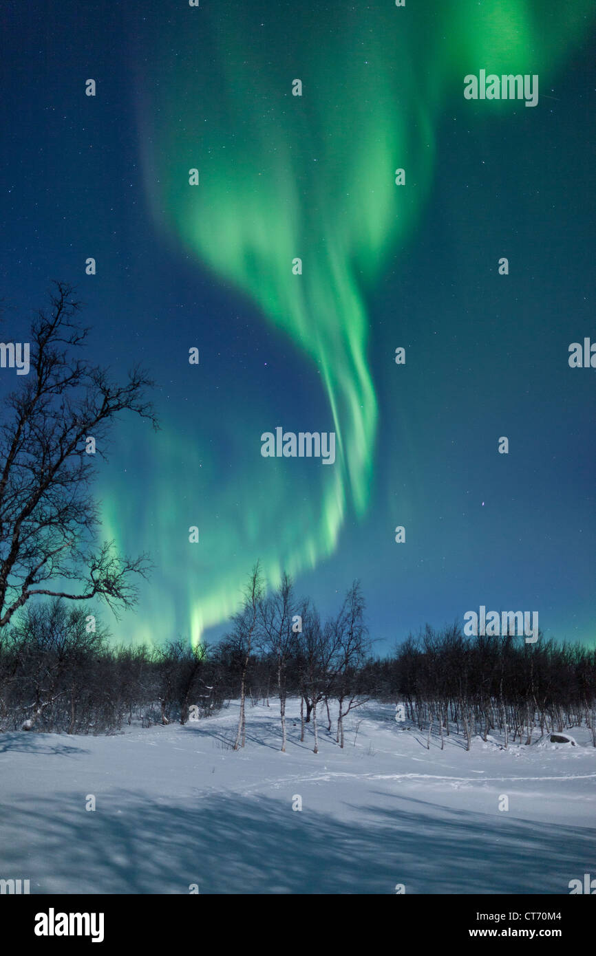 Luci del nord (Aurora Boreale) ondeggiano nel cielo nel nord della Norvegia, Arctic Scandinavia durante il periodo invernale Foto Stock