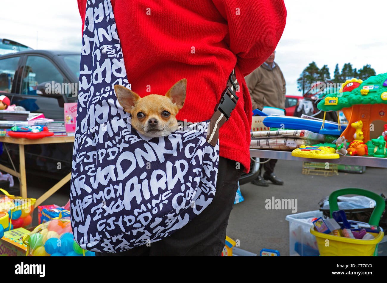 Cane di essere trasportati in una borsa di tela, mercato all'aperto, Scozia Foto Stock