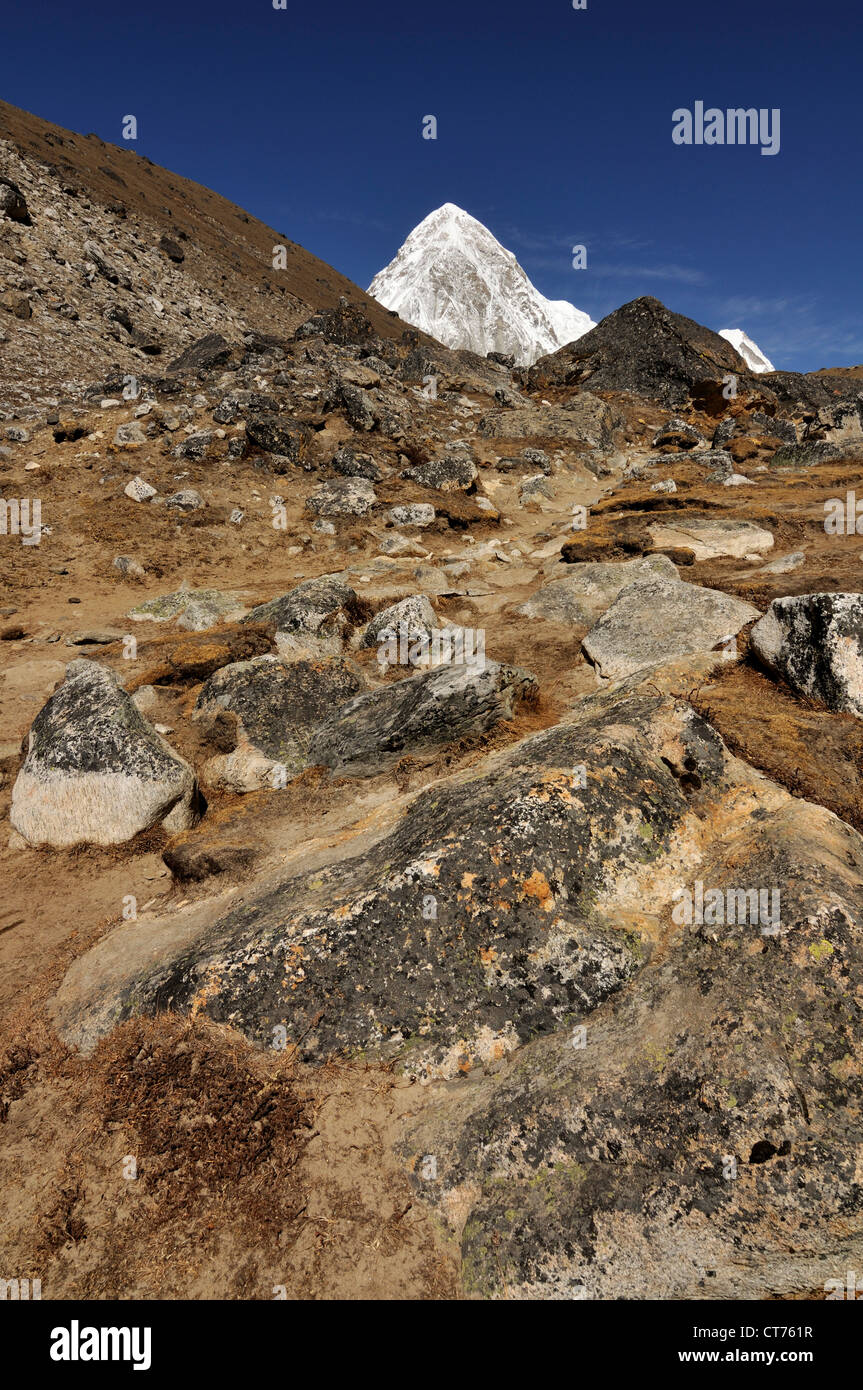 Il Nepal paesaggio di montagna Foto Stock