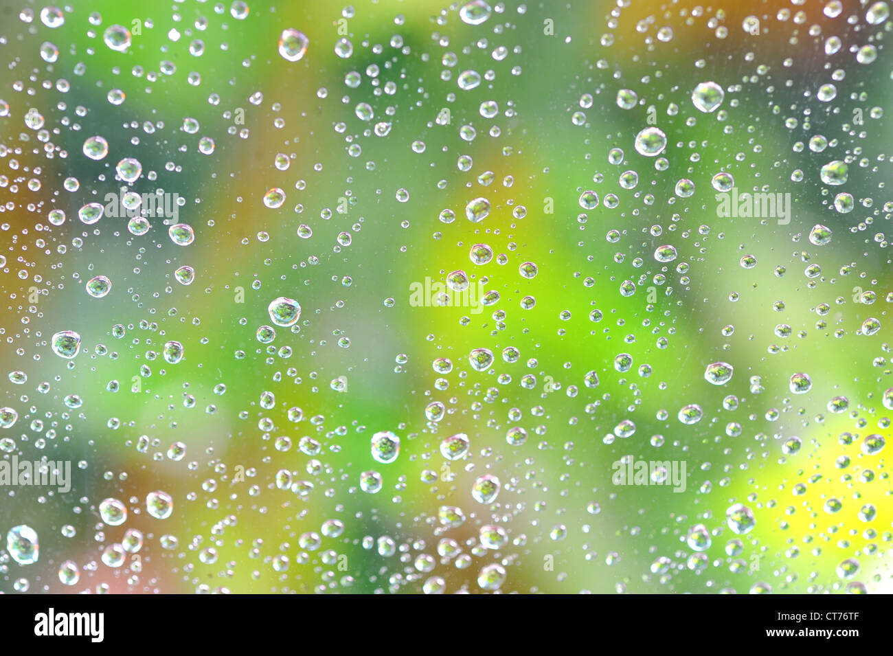 Gocce di pioggia sul vetro Foto Stock