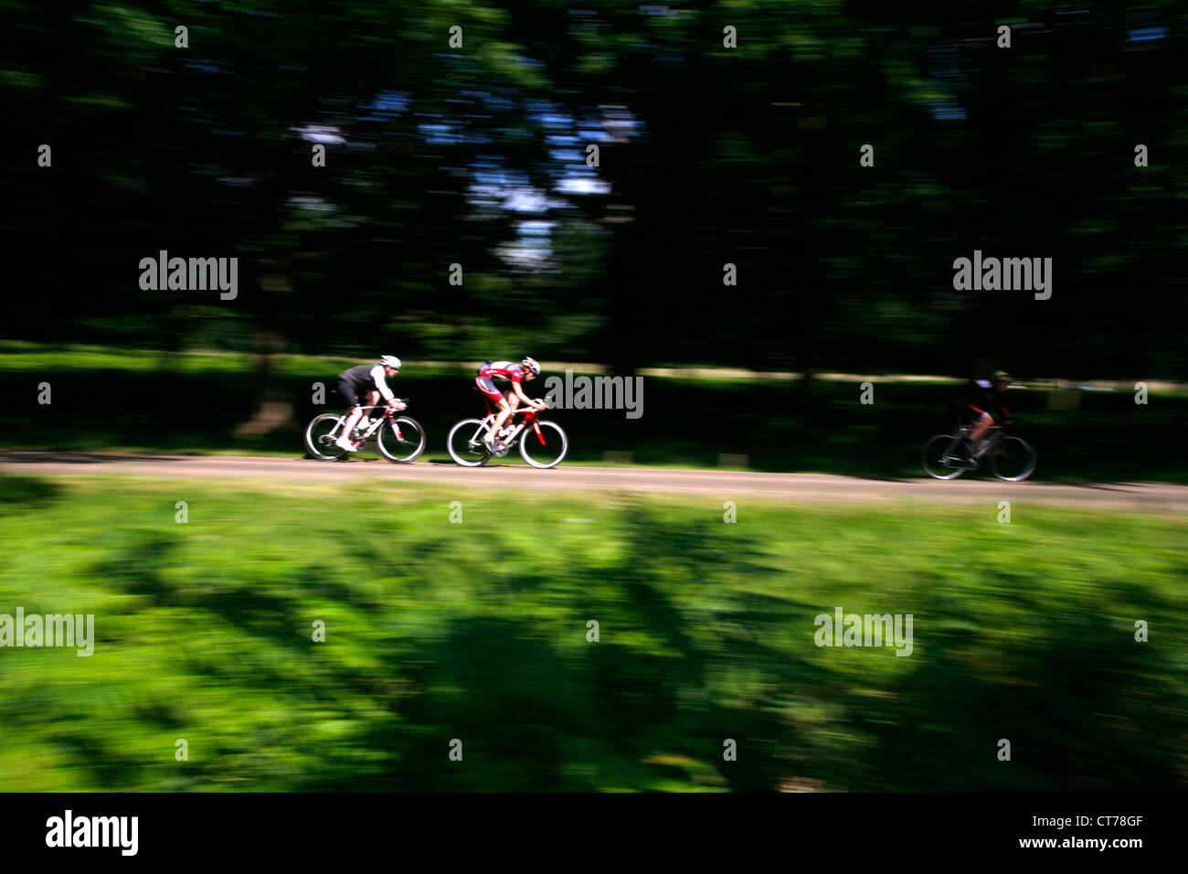 I ciclisti di corsa attraverso il parco di Richmond, London, Regno Unito Foto Stock
