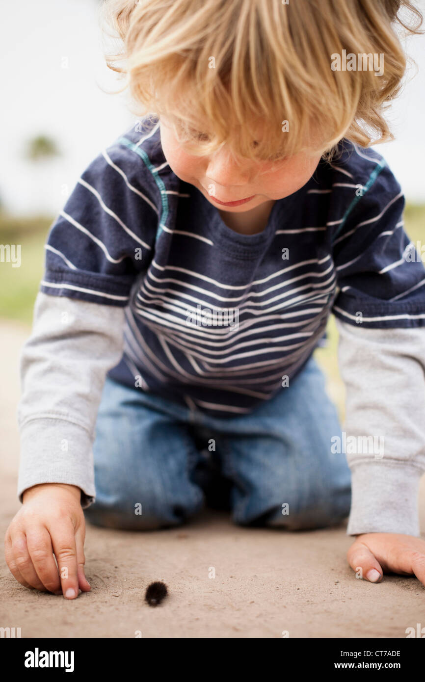 Ragazzo giocando con caterpillar Foto Stock