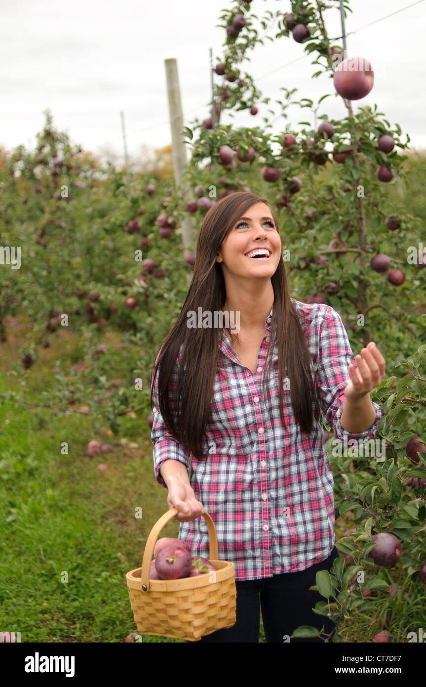 Giovane donna nel frutteto, gettando apple nell'aria Foto Stock