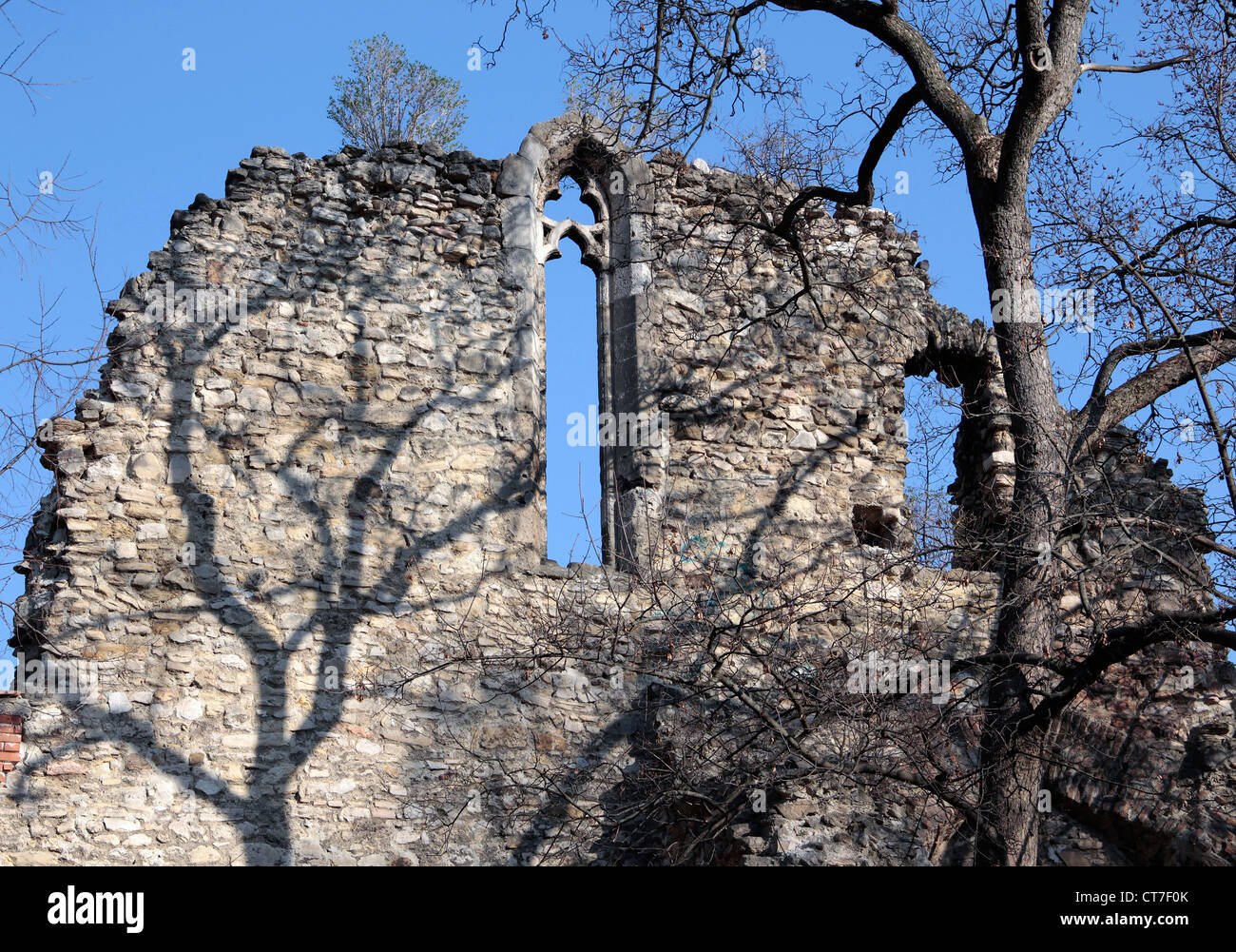 Elhagyatott lepusztult középkori vár rom fal. Foto Stock