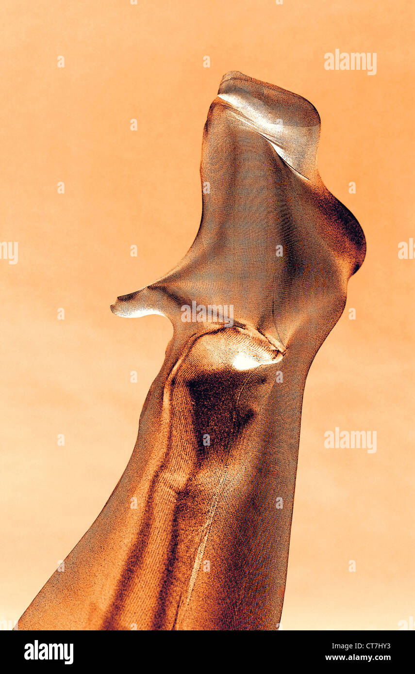 Gambe in collant Foto Stock