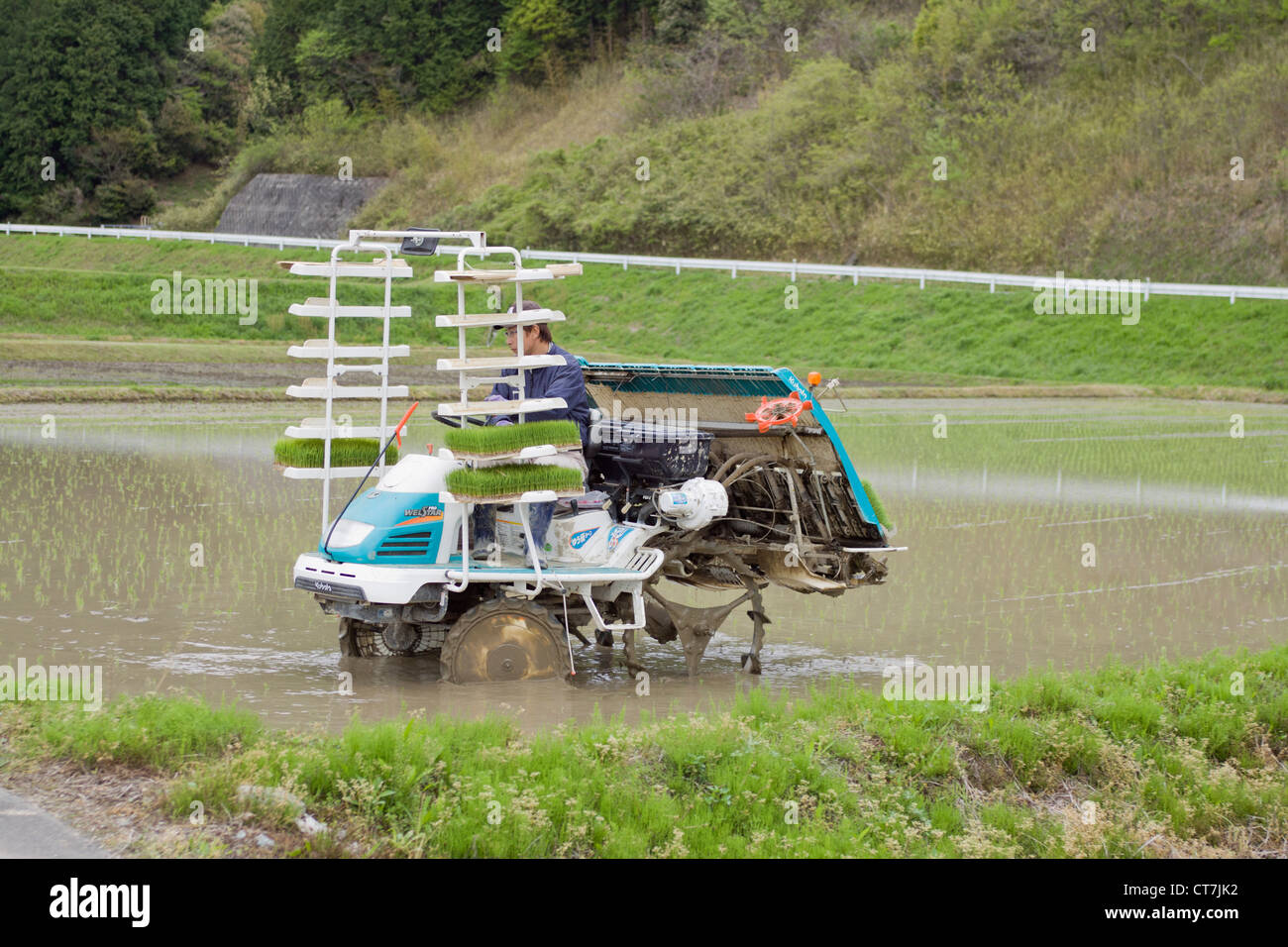 Riso piantagione macchina in comune rurale di agricoltura giapponese. Foto Stock