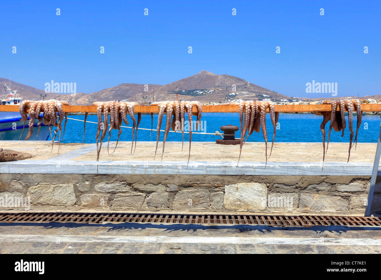 Calamari appesi per essere asciutto al porto di Naoussa, Paros, Grecia Foto Stock