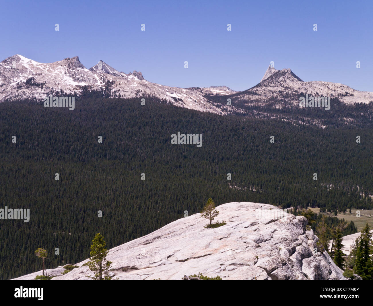 Vista da Lembert Cupola della Cattedrale nella gamma Tuolumne Meadows parte del Parco Nazionale di Yosemite Foto Stock