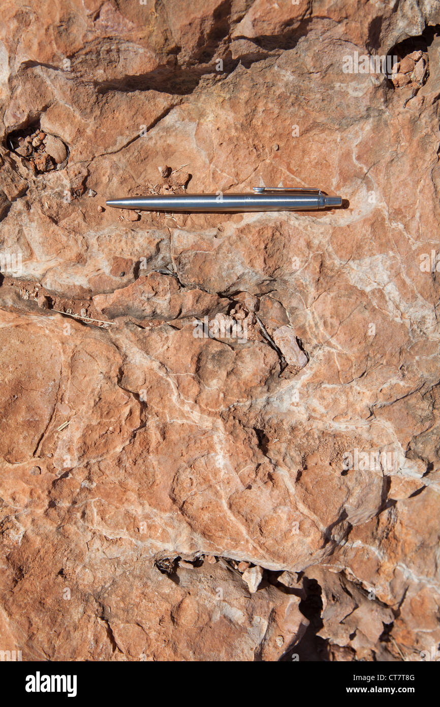 Geologia di calcare in Cape Range National Park, Australia occidentale Foto Stock