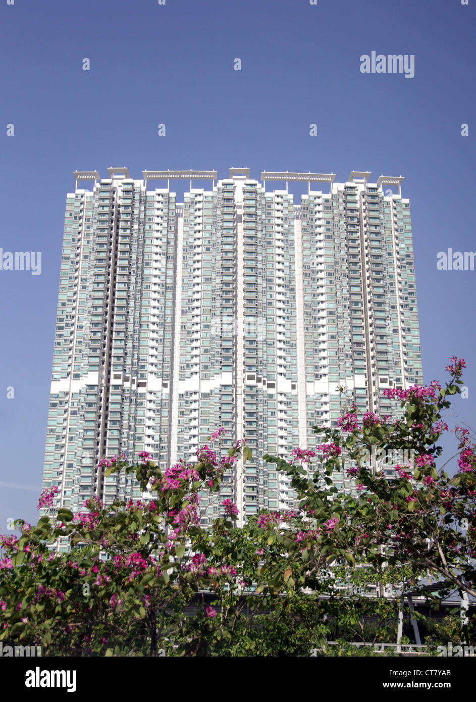 Si tratta di una foto di un gruppo di torri in Hong Kong con alcuni alberi intorno. Siamo in grado di vedere si tratta di un giorno di sole Foto Stock