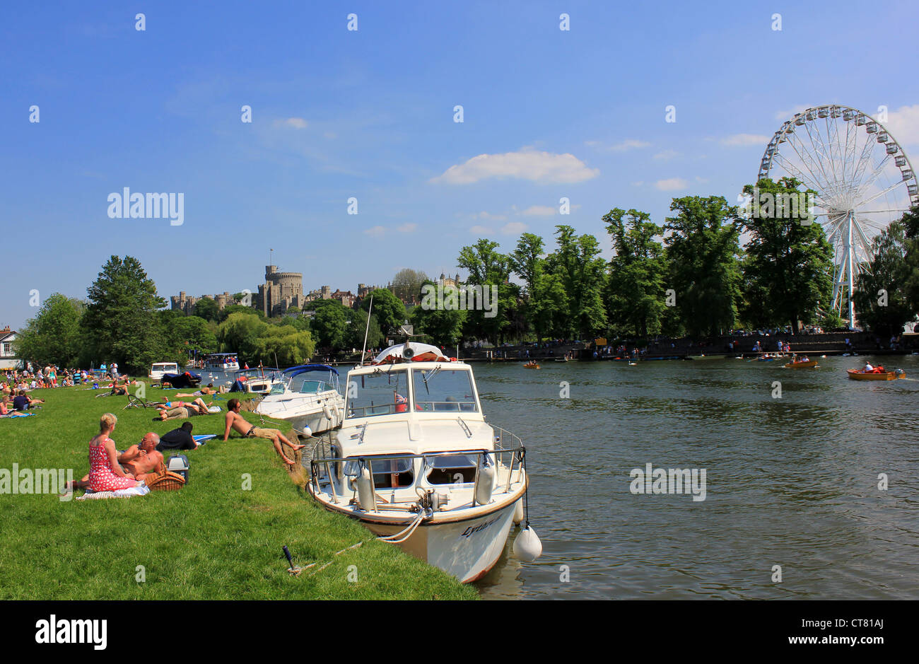 Inghilterra Berkshire Windsor Riverside vista sul Tamigi a Windsor mostra piacere crociere sul fiume e sunseekers Foto Stock