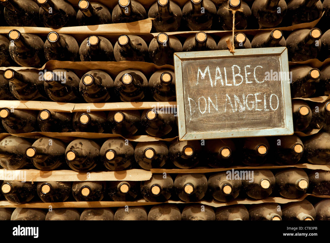 Bodega Di Tomasso cantina Foto Stock