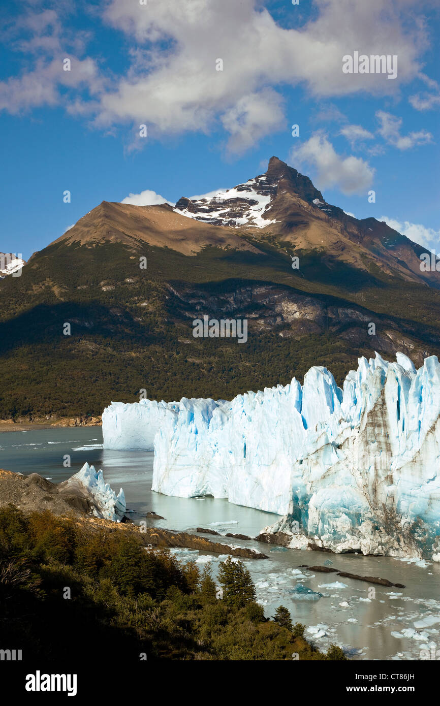 Parete di rottura del Glaciar Perito Moreno Foto Stock