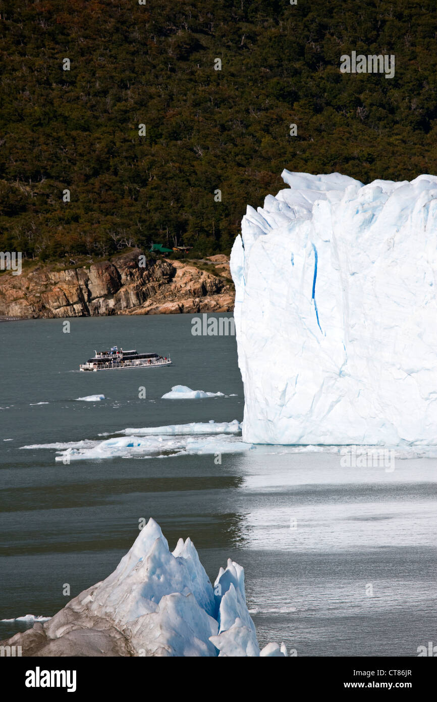 Faccia sud del Glaciar Perito Moreno Foto Stock