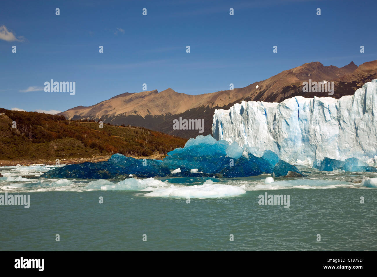 Fresco iceburg rovesciato nella parte anteriore della parete nord del Glaciar Moreno nel Canal de los Tempanos nel Lago Argentino Foto Stock