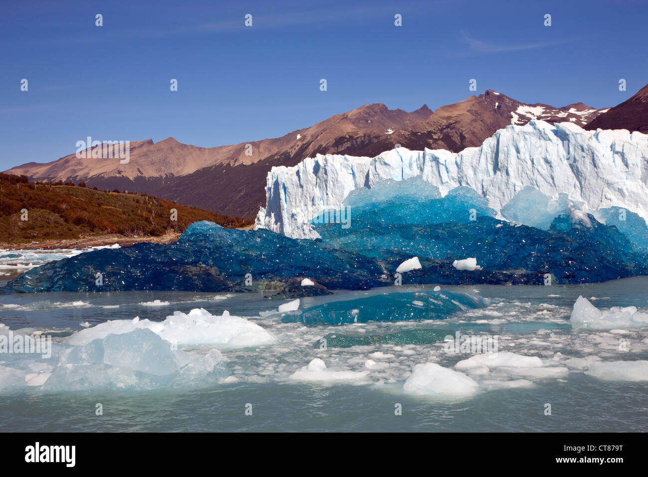 Fresco iceburg rovesciato nella parte anteriore della parete nord del Glaciar Moreno nel Canal de los Tempanos nel Lago Argentino Foto Stock