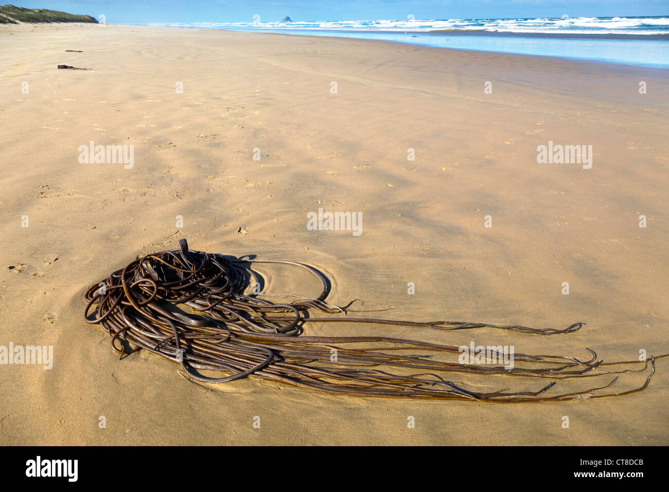 Ninety Mile Beach, Nuova Zelanda - oggetto misterioso lavato fino Foto Stock