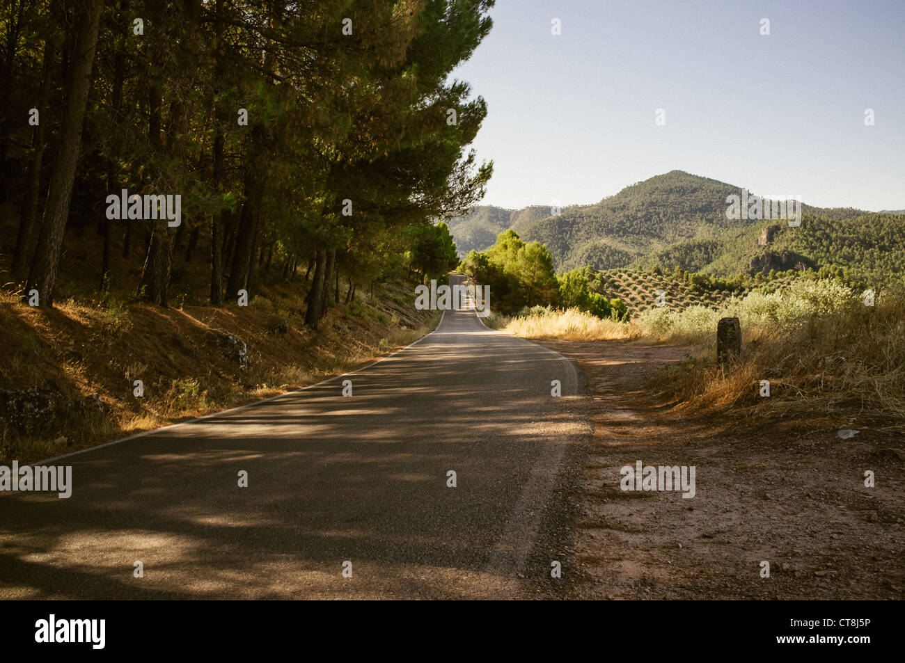 Una strada che attraversa il bellissimo albero di olivo paesaggio riempito di Las Sierras de Cazorla, Segura y Las Villas Foto Stock