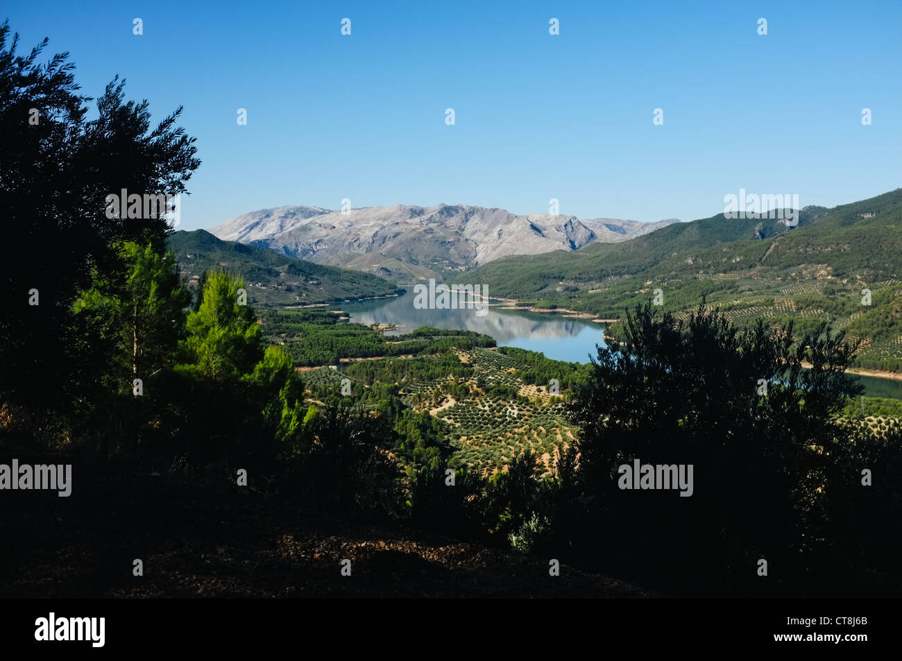 Un serbatoio (El Tranco de Beas) e il bellissimo albero di olivo paesaggio riempito di Las Sierras de Cazorla, Segura y Las Villas Foto Stock