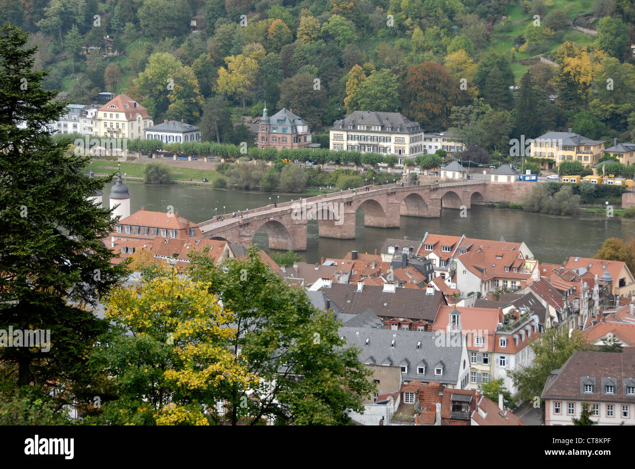 Vista dal castello di Heidelberg, Heidelberg, Germania Foto Stock