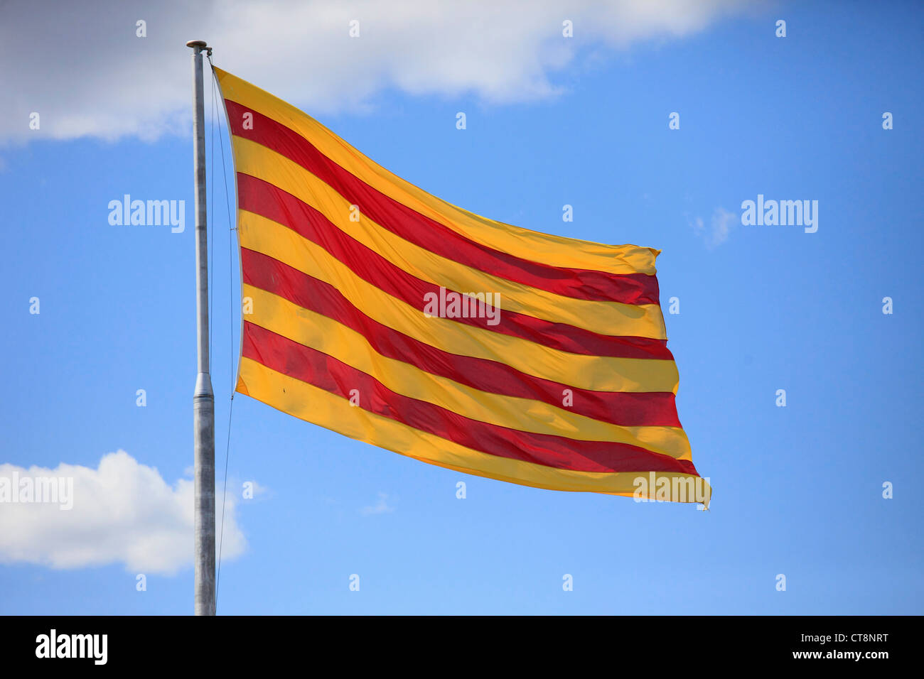 In Spagna, in Catalogna, Barcellona, bandiera catalana, Foto Stock