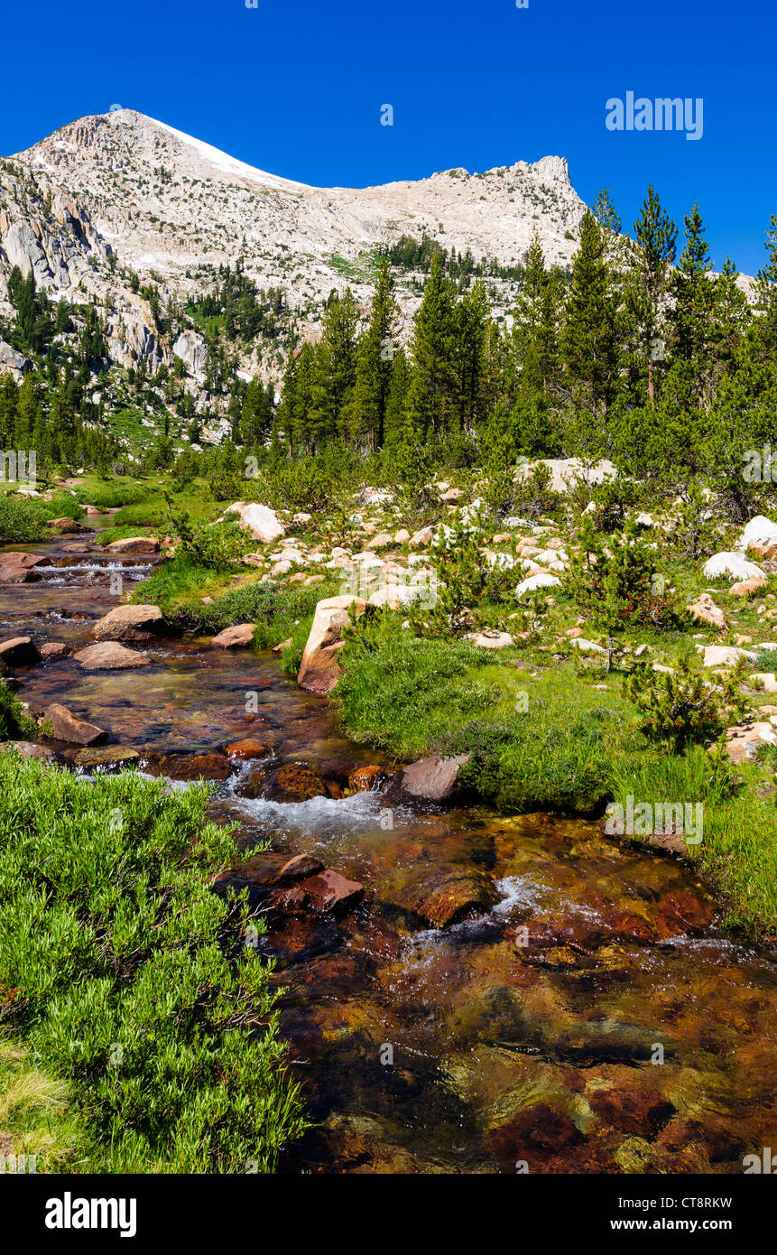 Unicorn Creek sotto il picco di Unicorn, Tuolumne Meadows, Yosemite National Park, California USA Foto Stock