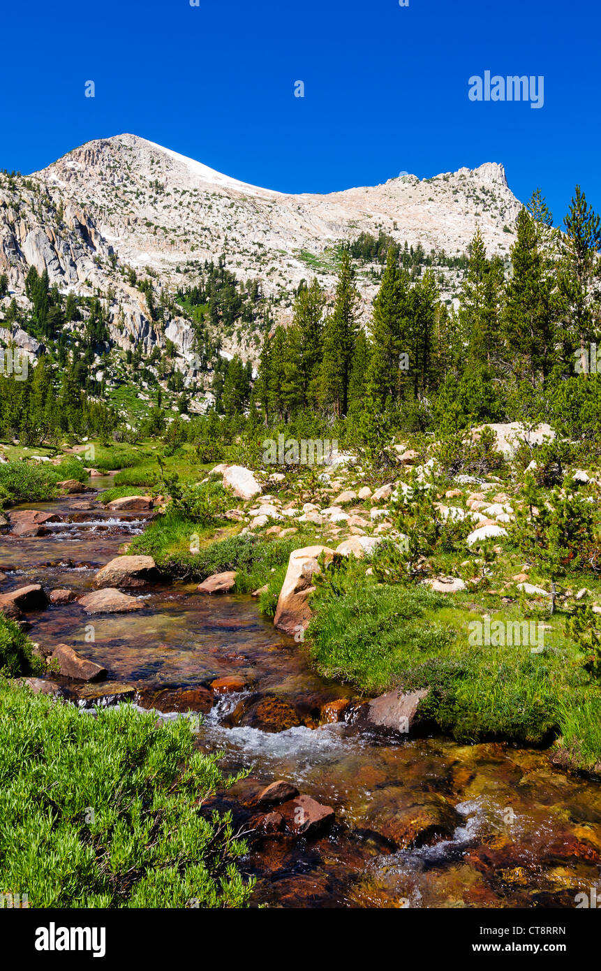 Unicorn Creek sotto il picco di Unicorn, Tuolumne Meadows, Yosemite National Park, California USA Foto Stock