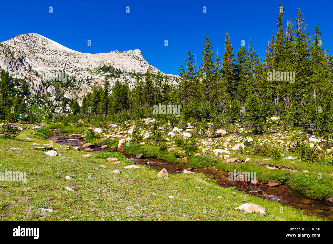 Gli escursionisti a Unicorn Creek sotto il picco di Unicorn, Tuolumne Meadows, Yosemite National Park, California USA Foto Stock