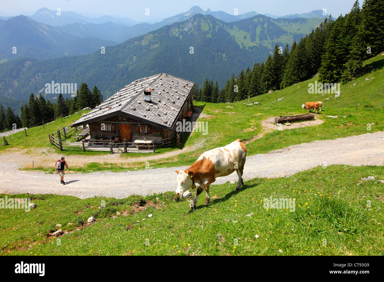 Escursioni in montagna nel percorso di montagna Mangfall, alpi bavaresi. Foto Stock