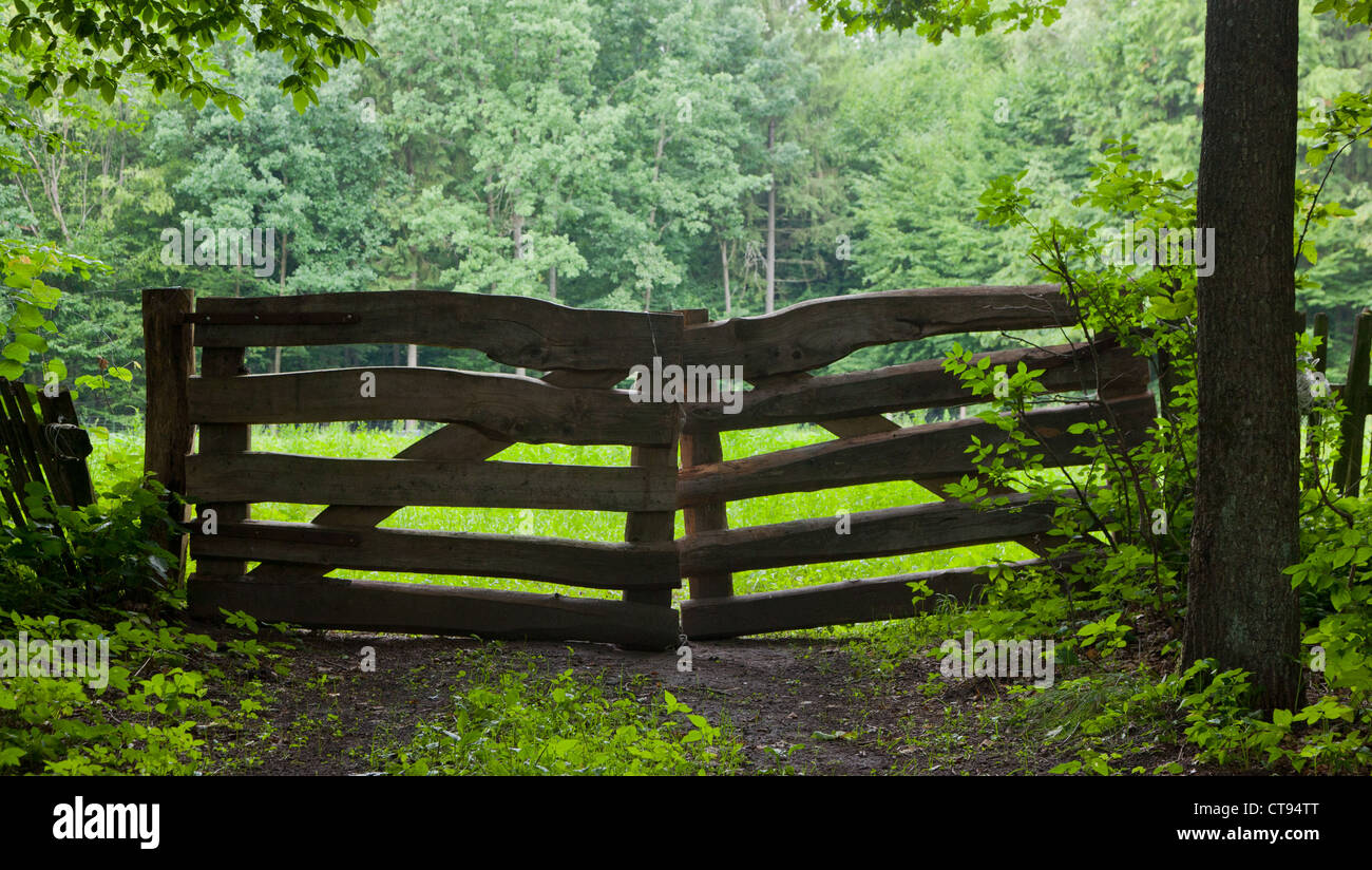 Rustico cancello di legno contro alberi Foto Stock
