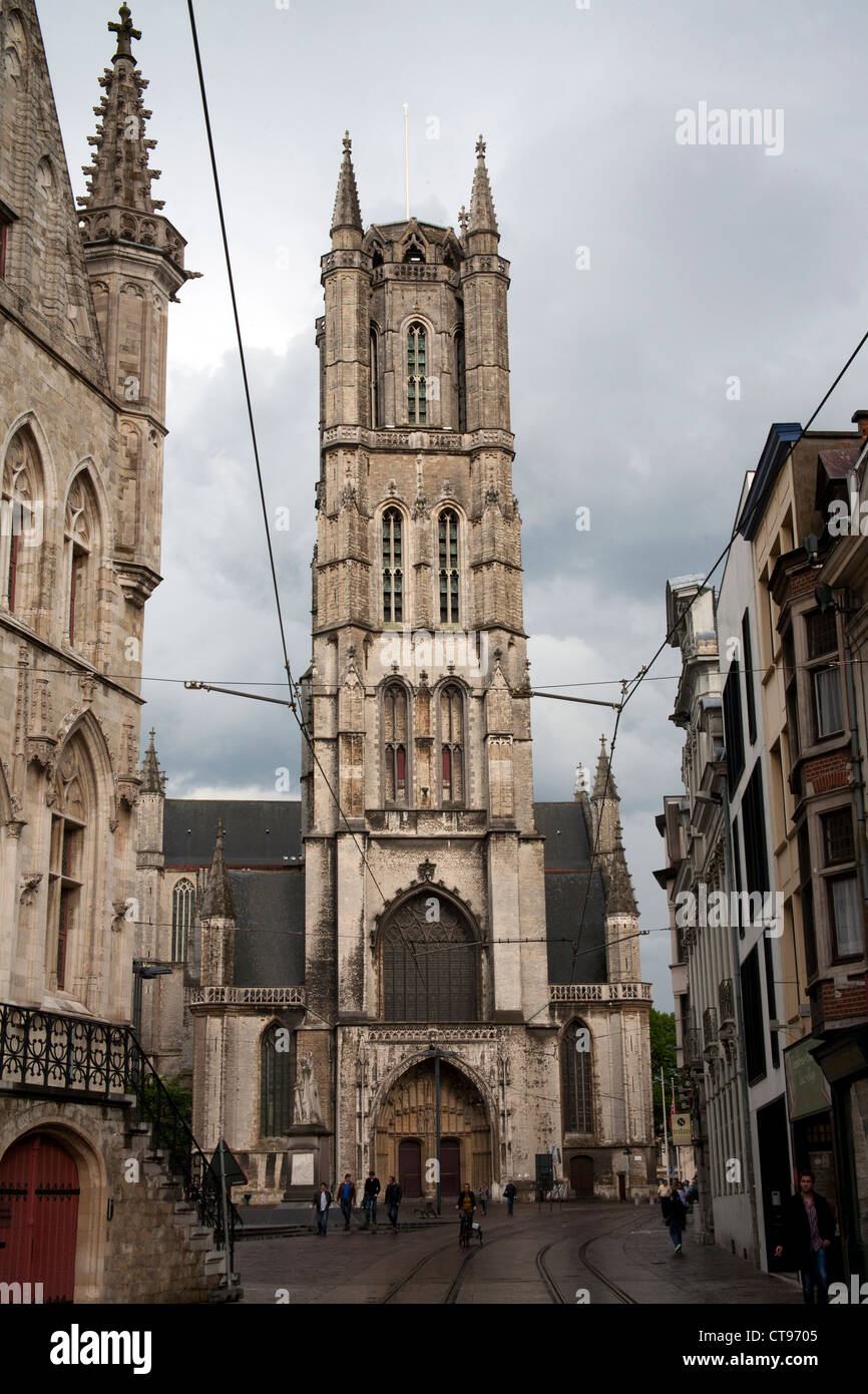 Cattedrale di San Bavone Gand Bruxelles Foto Stock