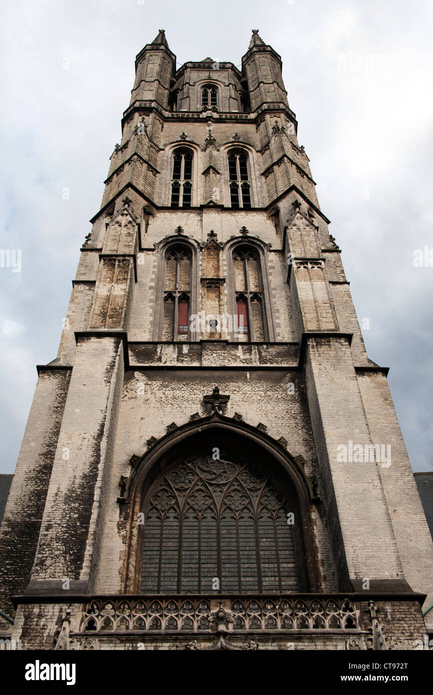 Cattedrale di San Bavone Gand Bruxelles Foto Stock