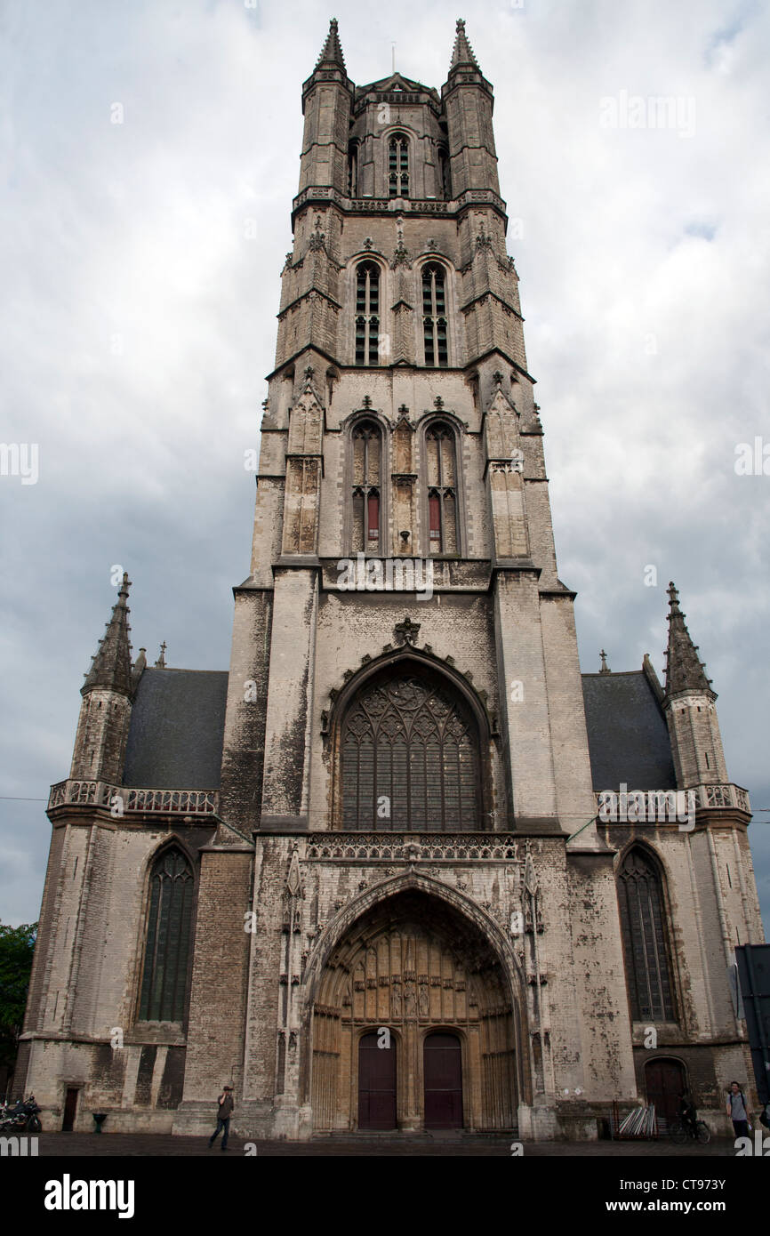 Cattedrale di San Bavone Gand Bruxelles Foto Stock