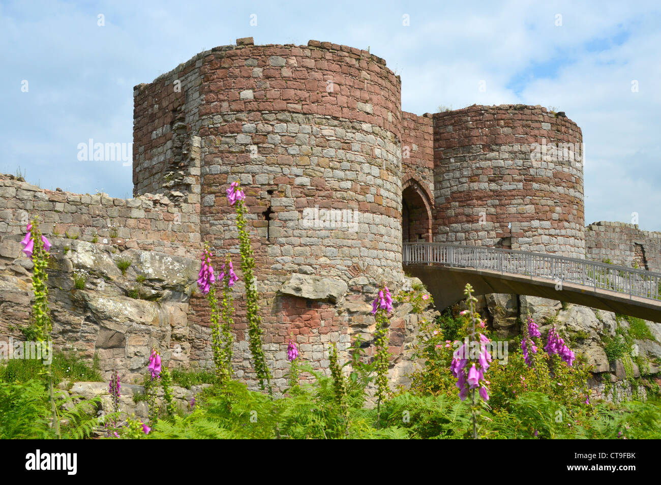 Beeston Castello rovine di interni di corsia cancello moderno ponte pedonale attraverso profondo fossato per l'ingresso alla cima del 500ft pastore sopra Cheshire Plain Inghilterra Regno Unito Foto Stock