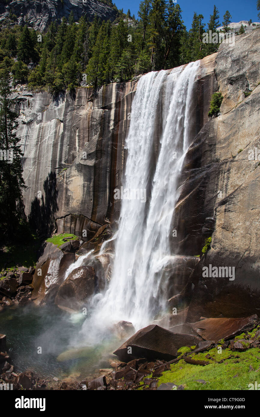 Primaverile, cascate Yosemite National Park, California, Stati Uniti d'America Foto Stock