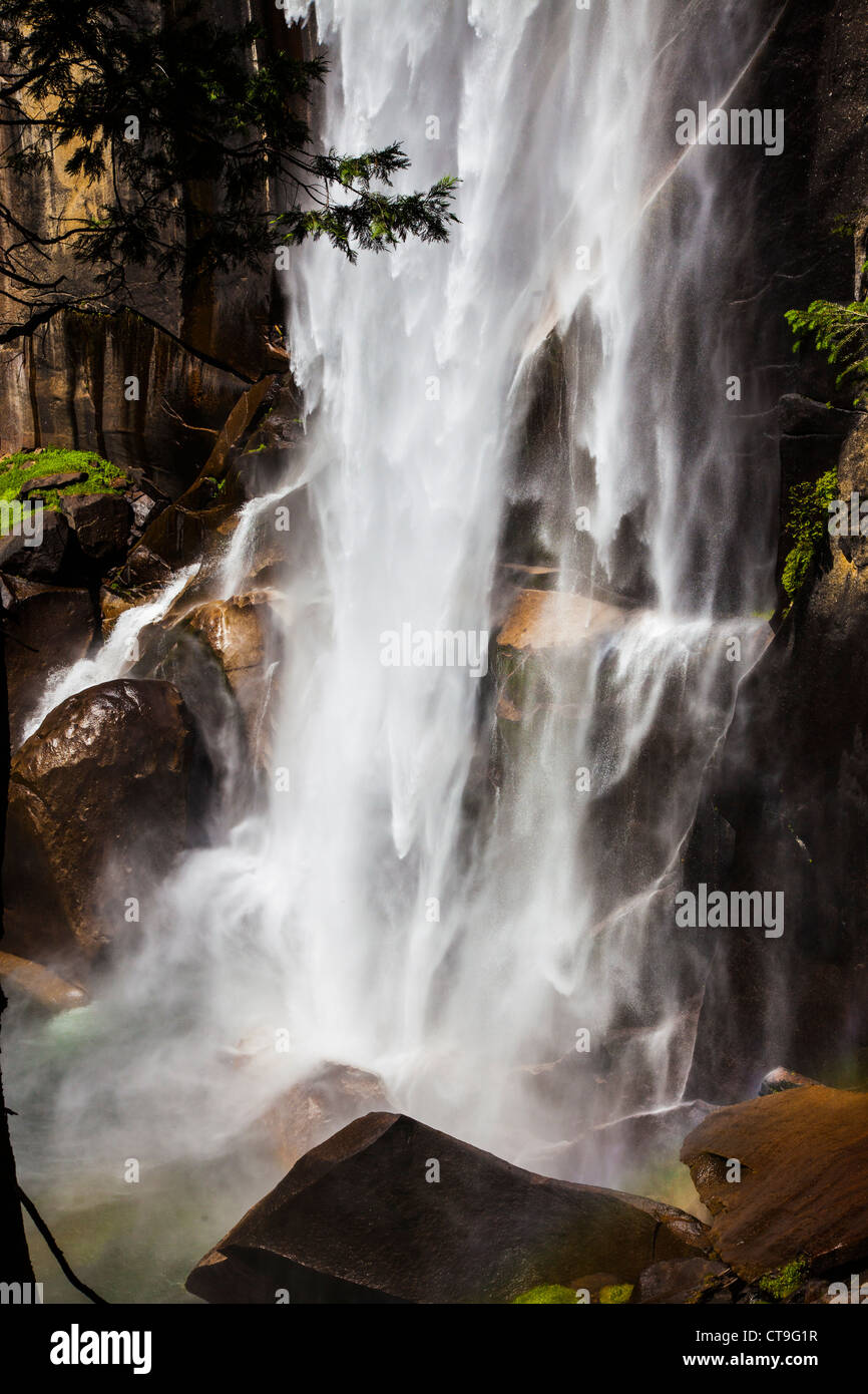 Primaverile, cascate Yosemite National Park, California, Stati Uniti d'America Foto Stock